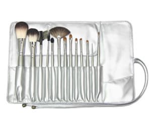 Silver Brush bag kit